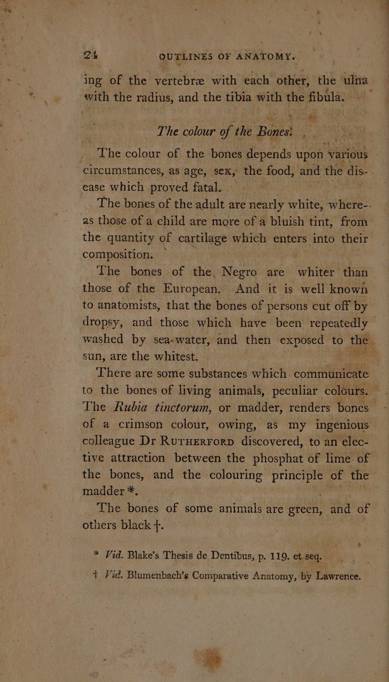 ing of the vertebre with each ‘sthiek: the ulna with the radius, and the tibia with the fibula. yl The colour of the ‘Bajest sha colour of the bones depends upon various ease which proved fatal... ) The bones of the adult are eal white, HORS: as those of a child are more of'a bluish tint, from. the quantity of agsilagt which enters into their composition. — | y The bones of the: Negro are whiter’ than to anatomists, that the bones of persons cut off by washed by sea-water, and then exposed to the sun, are the whitest. | we ‘There are some substances hick: communicate to the bones of living animals, peculiar colours. : The Rubia tinctorum, or madder, renders bones of a crimson colour, owing, as my ingenious colleague Dr Ruruerrorp discovered, to an elec- tive attraction between the phosphat of lime of the bones, and the colouring principle of the madder *. : The bones of some animals are err and of otnuers black +. * Vid. Blake’s Thesis de Dentibus, p. 119. et seq. + Vid. Blumenbach’s Comparative Anatomy, by Lawrence. A.“