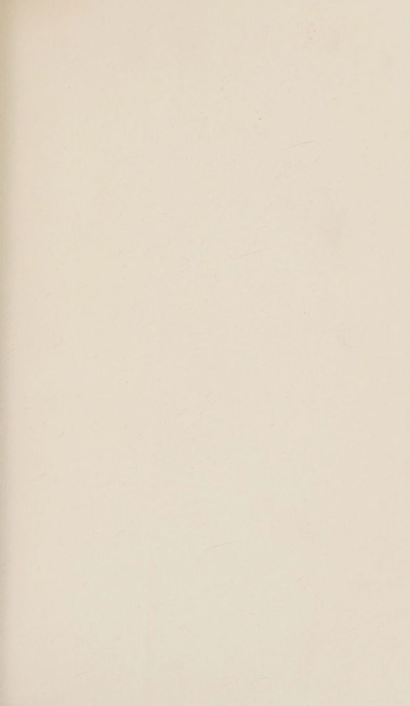 é ‘ - ‘ . , S i - 1 “ d ; . - - : D} ) i Z hs 7 i = ) A ' x 1 a ‘ z “ 4 4