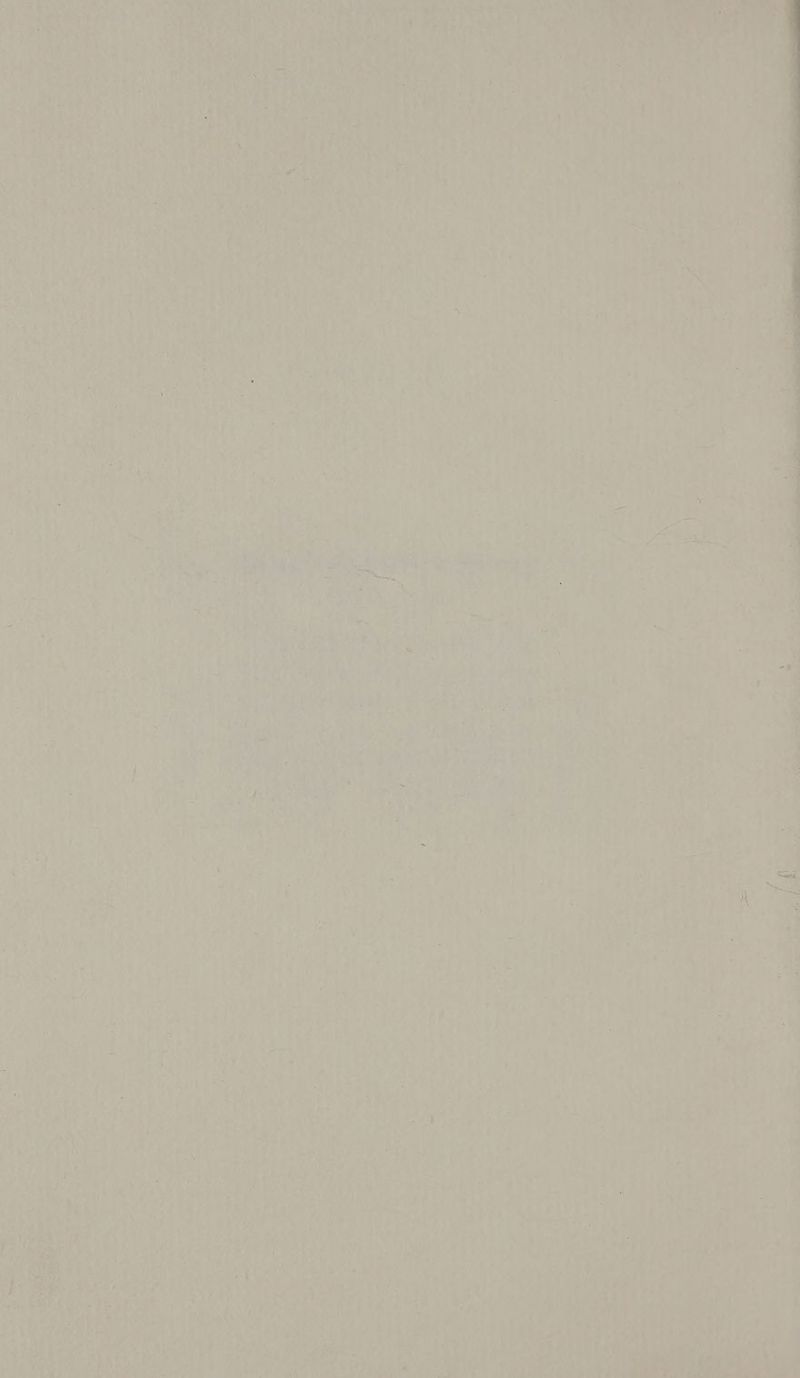 San a are Pat 3 ert as ! = = vik eee a pe a