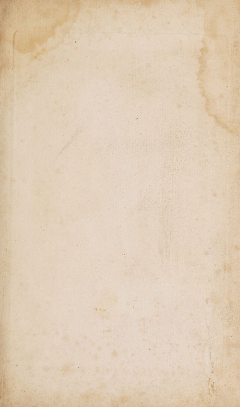 “tds: as ‘ xo A a, 24>