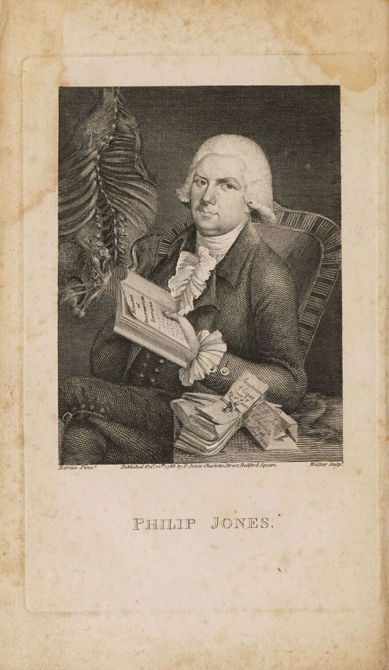 OY . NY AN AN . \ \\ \ \ WY \ \ \ —~S ¢ Ui GEE. \ \ Jones Charlotte Stree CBedjord Square. VP, ~ ONES \ rd I JP BULL