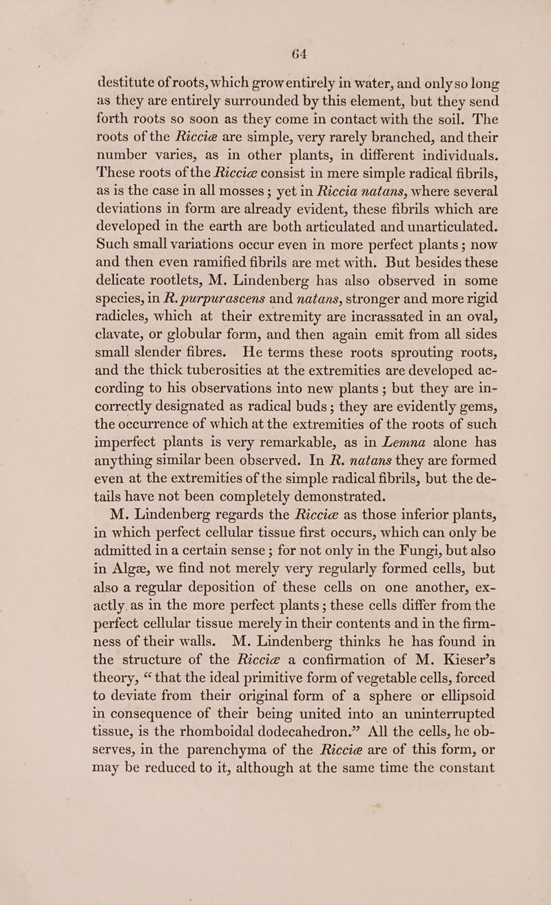 destitute of roots, which grow entirely in water, and only so long as they are entirely surrounded by this element, but they send forth roots so soon as they come in contact with the soil. The roots of the Riccié are simple, very rarely branched, and their number varies, as in other plants, in different individuals. These roots of the Ricci¢ consist in mere simple radical fibrils, as is the case in all mosses ; yet in Riccia natans, where several deviations in form are already evident, these fibrils which are developed in the earth are both articulated and unarticulated. Such small variations occur even in more perfect plants ; now and then even ramified fibrils are met with. But besides these delicate rootlets, M. Lindenberg has also observed in some species, in R. purpurascens and natans, stronger and more rigid radicles, which at their extremity are incrassated in an oval, clavate, or globular form, and then again emit from all sides small slender fibres. He terms these roots sprouting roots, and the thick tuberosities at the extremities are developed ac- cording to his observations into new plants; but they are in- correctly designated as radical buds; they are evidently gems, the occurrence of which at the extremities of the roots of such imperfect plants is very remarkable, as in Lemna alone has anything similar been observed. In R. natans they are formed even at the extremities of the simple radical fibrils, but the de- tails have not been completely demonstrated. M. Lindenberg regards the Riccie as those inferior plants, in which perfect cellular tissue first occurs, which can only be admitted in a certain sense ; for not only in the Fungi, but also in Algze, we find not merely very regularly formed cells, but also a regular deposition of these cells on one another, ex- actly.as in the more perfect plants ; these cells differ from the perfect cellular tissue merely in their contents and in the firm- ness of their walls. M. Lindenberg thinks he has found in the structure of the Riccie a confirmation of M. Kieser’s theory, “ that the ideal primitive form of vegetable cells, forced to deviate from their original form of a sphere or ellipsoid in consequence of their being united into an uninterrupted tissue, 1s the rhomboidal dodecahedron.” All the cells, he ob- serves, in the parenchyma of the Riccie@ are of this form, or may be reduced to it, although at the same time the constant
