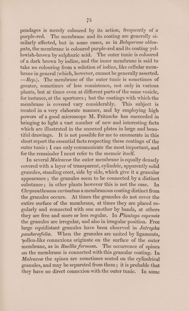 pendages is merely coloured by its action, frequently of a purple-red. The membrane and its coating are generally si- milarly affected, but in some cases, as in Beloperone oblon- gata, the membrane is coloured purple-red and its coating yel- lowish-brown by sulphuric acid. The outer tunic is coloured of a dark brown by iodine, and the inner membrane is said to take no colouring from a solution of iodine, like cellular mem- brane in general (which, however, cannot be generally asserted. —Rep.). The membrane of the outer tunic is sometimes of greater, sometimes of less consistence, not only in various plants, but at times even at different parts of the same vesicle, for instance, at the apertures; but the coatings with which the membrane is covered vary considerably. This subject is treated in a very elaborate manner, and by employing high powers of a good microscope M. Fritzsche has succeeded in bringing to light a vast number of new and interesting facts which are illustrated in the annexed plates in large and beau- tiful drawings. It is not possible for me to enumerate in this short report the essential facts respecting these coatings of the outer tunic; I can only communicate the most important, and for the remainder I must refer to the memoir itself. In several Malvacee the outer membrane is equally densely covered with a layer of transparent, cylindric, apparently solid eranules, standing erect, side by side, which give it a granular appearance ; the granules seem to be connected by a distinct substance; in other plants however this is not the case. In Chrysanthemum carinatum a membranous coating distinct from the granules occurs. At times the granules do not cover the entire surface of the membrane, at times they are placed re- gularly and connected with one another by bands, at others they are free and more or less regular. In Plantago capensis the granules are irregular, and also in irregular position. Free large equidistant granules have been observed in Jatropha pandurefolia. When the granules are united by ligaments, yollen-like connexions originate on the surface of the outer membrane, as in Ruellia formosa. ‘The occurrence of spines on the membrane is connected with this granular coating. In Malvacee the spines are sometimes seated on the cylindrical granules, and may be separated from them ; it is probable that they have no direct connexion with the outer tunic. In some