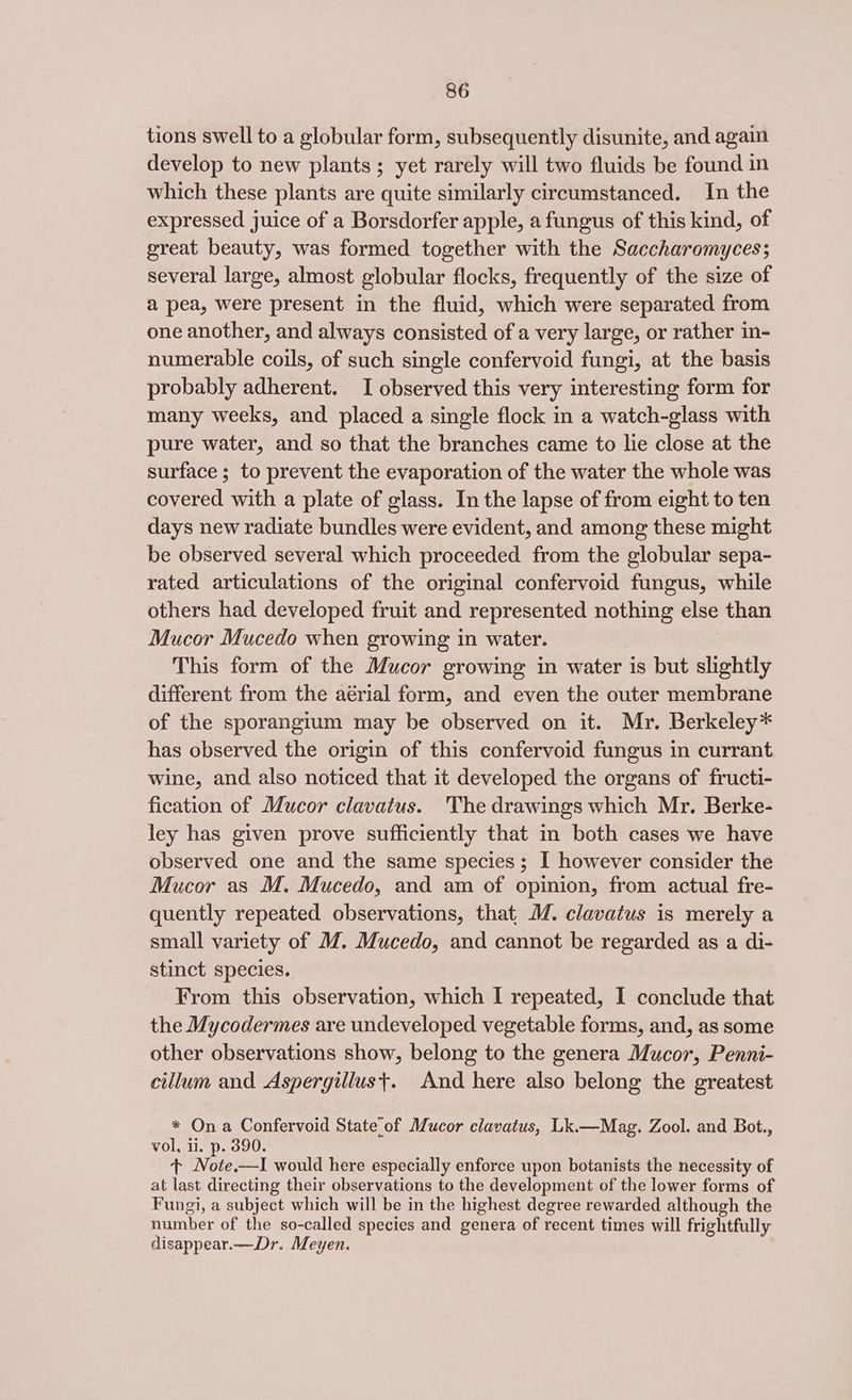 tions swell to a globular form, subsequently disunite, and again develop to new plants ; yet rarely will two fluids be found in which these plants are quite similarly cireumstanced. In the expressed juice of a Borsdorfer apple, a fungus of this kind, of great beauty, was formed together with the Saccharomyces; several large, almost globular flocks, frequently of the size of a pea, were present in the fluid, which were separated from one another, and always consisted of a very large, or rather in- numerable coils, of such single confervoid fungi, at the basis probably adherent. I observed this very interesting form for many weeks, and placed a single flock in a watch-glass with pure water, and so that the branches came to lie close at the surface ; to prevent the evaporation of the water the whole was covered with a plate of glass. In the lapse of from eight to ten days new radiate bundles were evident, and among these might be observed several which proceeded from the globular sepa- rated articulations of the original confervoid fungus, while others had developed fruit and represented nothing else than Mucor Mucedo when growing in water. This form of the Mucor growing in water is but slightly different from the aérial form, and even the outer membrane of the sporangium may be observed on it. Mr. Berkeley* has observed the origin of this confervoid fungus in currant wine, and also noticed that it developed the organs of fructi- fication of Mucor clavatus. 'The drawings which Mr. Berke- ley has given prove sufficiently that in both cases we have observed one and the same species; I however consider the Mucor as M. Mucedo, and am of opinion, from actual fre- quently repeated observations, that M. clavatus is merely a small variety of MZ. Mucedo, and cannot be regarded as a di- stinct species. From this observation, which I repeated, I conclude that the Mycodermes are undeveloped vegetable forms, and, as some other observations show, belong to the genera Mucor, Penni- cillum and Aspergillust. And here also belong the greatest * On a Confervoid State of Mucor clavatus, Lk.—Mag. Zool. and Bot., vol, ii. p. 390. + Note.—I would here especially enforce upon botanists the necessity of at last directing their observations to the development of the lower forms of Fungi, a subject which will be in the highest degree rewarded although the number of the so-called species and genera of recent times will frightfully disappear.—Dr. Meyen.