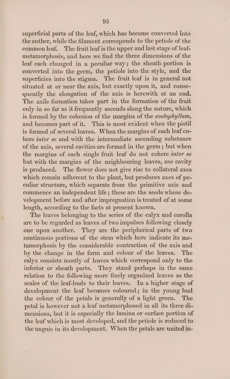 superficial parts of the leaf, which has become converted inte the anther, while the filament corresponds to the petiole of the common leaf. The fruit leaf is the upper and last stage of leaf- metamorphosis, and here we find the three dimensions of the leaf each changed in a peculiar way; the sheath portion is converted into the germ, the petiole into the style, and the superficies into the stigma. The fruit leaf is im general not situated at or near the axis, but exactly upon it, and conse- quently the elongation of the axis is herewith at an end. The axile formation takes part in the formation of the fruit only in so far as it frequently ascends along the suture, which is formed by the cohesion of the margins of the coelophyllum, and becomes part of it. This is most evident when the pistil is formed of several leaves. When the margins of each leaf co- here infer se and with the intermediate ascending substance of the axis, several cavities are formed in the germ; but when the margins of each single fruit leaf do not cohere inter se but with the margins of the neighbouring leaves, one cavity is produced. The flower does not give rise to collateral axes which remain adherent to the plant, but produces axes of pe- culiar structure, which separate from the primitive axis and commence an independent life; these are the seeds whose de- velopment before and after impregnation is treated of at some length, according to the facts at present known. The leaves belonging to the series of the calyx and corolla are to be regarded as leaves of two impulses following closely one upon another. They are the peripherical parts of two continuous portions of the stem which here indicate its me- tamorphosis by the considerable contraction of the axis and by the change in the form and colour of the leaves. The calyx consists mostly of leaves which correspond only to the inferior or sheath parts. They stand perhaps in the same relation to the following more finely organized leaves as the scales of the leaf-buds to their leaves. In a higher stage of development the leaf becomes coloured; in the young bud the colour of the petals is generally of a light green. The petal is however not a leaf metamorphosed in all its three di- mensions, but it is especially the lamina or surface portion of the leaf which is most developed, and the petiole is reduced to the unguis in its development. When the petals are united in-
