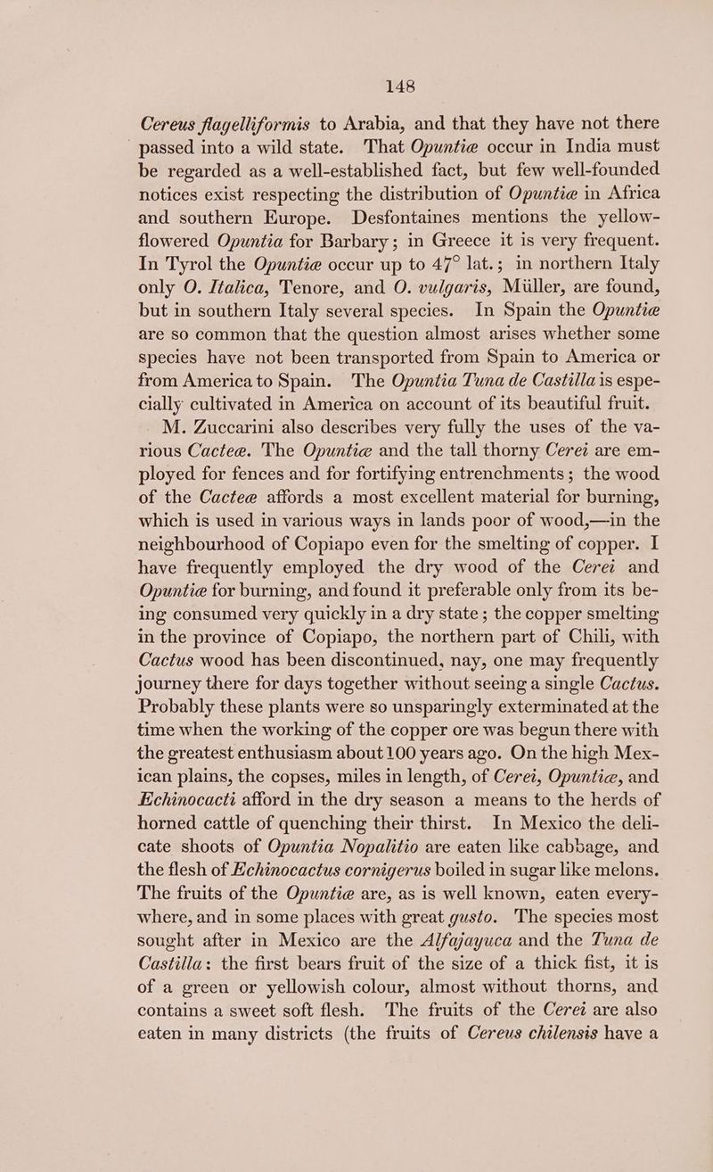 Cereus flagelliformis to Arabia, and that they have not there passed into a wild state. That Opuntie occur in India must be regarded as a well-established fact, but few well-founded notices exist respecting the distribution of Opuntia in Africa and southern Europe. Desfontaines mentions the yellow- flowered Opuntia for Barbary; in Greece it is very frequent. In Tyrol the Opuntie occur up to 47° lat.; in northern Italy only O. Italica, Tenore, and O. vulgaris, Miller, are found, but in southern Italy several species. In Spain the Opuntie are so common that the question almost arises whether some species have not been transported from Spain to America or from America to Spain. The Opuntia Tuna de Castilla is espe- cially cultivated in America on account of its beautiful fruit. _M. Zuccarini also describes very fully the uses of the va- rious Cactee. The Opuntie and the tall thorny Cerez are em- ployed for fences and for fortifying entrenchments ; the wood of the Cactee affords a most excellent material for burning, which is used in various ways in lands poor of wood,—in the neighbourhood of Copiapo even for the smelting of copper. I have frequently employed the dry wood of the Ceret and Opuntie for burning, and found it preferable only from its be- ing consumed very quickly in a dry state; the copper smelting in the province of Copiapo, the northern part of Chili, with Cactus wood has been discontinued, nay, one may frequently journey there for days together without seeing a single Cactus. Probably these plants were so unsparingly exterminated at the time when the working of the copper ore was begun there with the greatest enthusiasm about 100 years ago. On the high Mex- ican plains, the copses, miles in length, of Cerei, Opuntie, and Echinocacti afford in the dry season a means to the herds of horned cattle of quenching their thirst. In Mexico the deli- cate shoots of Opuntia Nopalitio are eaten like cabbage, and the flesh of Echinocactus cornigerus boiled in sugar like melons. The fruits of the Opuntie are, as is well known, eaten every- where, and in some places with great gusto. The species most sought after in Mexico are the Alfajayuca and the Tuna de Castilla: the first bears fruit of the size of a thick fist, it is of a green or yellowish colour, almost without thorns, and contains a sweet soft flesh. The fruits of the Cerei are also eaten in many districts (the fruits of Cereus chilensis have a