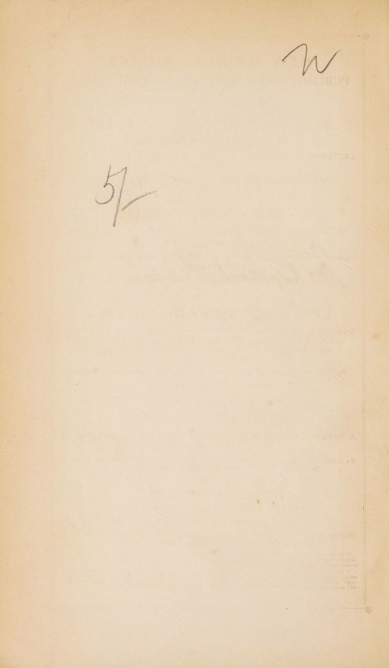 7 > . ea - mM wi“ 4;