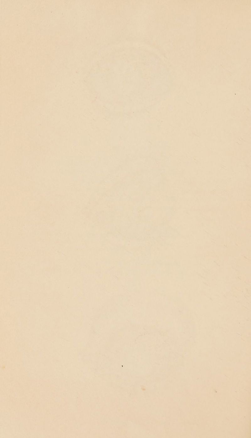 s . 7 eel Cua, ay wt 7 hae Lins age oy | yee mee SR a beanie yee Ore vais Pape “ . . ri a ie Paint a a 4 if a 7 oF ns f Ti¥ &amp; aul . Pde geth A