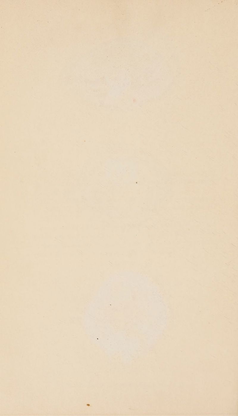 aS hei ae Le To owe * Fay sad i Gievats ae sa “Wainaeee ; rg Sic aloe a ee Why vib ts , a Pah Ova: ui + ~~ » iy a4 a ; / _° ‘ 7 - Pe ie i » -~ J! > %): - 7 Aa . ; oo al “airs ; oy) ea took fed i + ‘ ¥ ar 7 aa ~ “> e fe ) PM \ \ ss Lae s Ls ® 2 « ta _ - es hee * > ¢ i han ahr : i + e = . . 1 * rn ‘ y { ‘ . « é 5 ’ 4 ay rs Fry > y = 7 y ; i Ve ; « : a r ; 2. \ = c 4 A ‘ - » - oP os i a i ny 1 bs a. : 5 - a i : ™ k ‘ és é ~ : ' } - t é ” Ie 7 € a i — on * 7 , - + <¢ L «wea . = , a9 iW, bi 7 (#, ’ - ; ee a 7 - . Ta S, oo , ne 4, i , ; be fas \ x a 4 x > 7 7 - + . iu 1 ; 7 j i, rs § : >. - , ’ oe _ 2 rey to ibe a y ay a ey oA oe Mie Re Ses J seer, o> my > © ay &amp; ~ hee ~~ ¥ “~ ~\ ae _ 1: