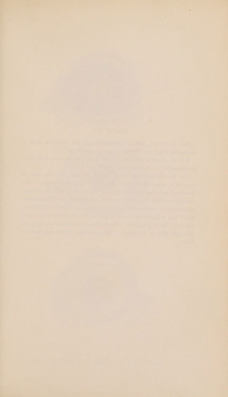 oe eG. PLT FITS) a oFeds i rile + eer ‘a v Re aid 4 wrest bere af : . AA a ae MES dee :