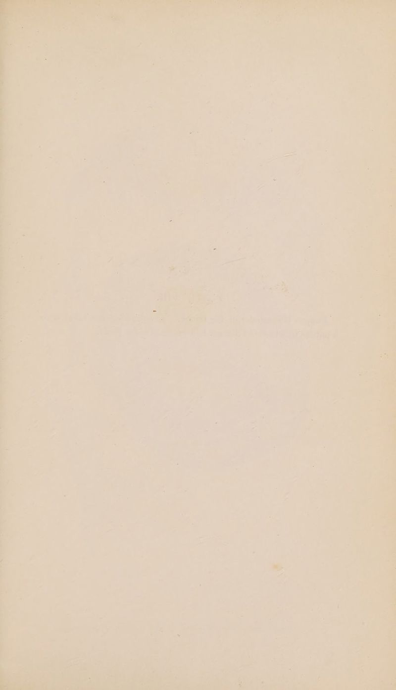 q 7 o> Sar ~4 7 yee ie Pa 7 on e19, ~~ ae