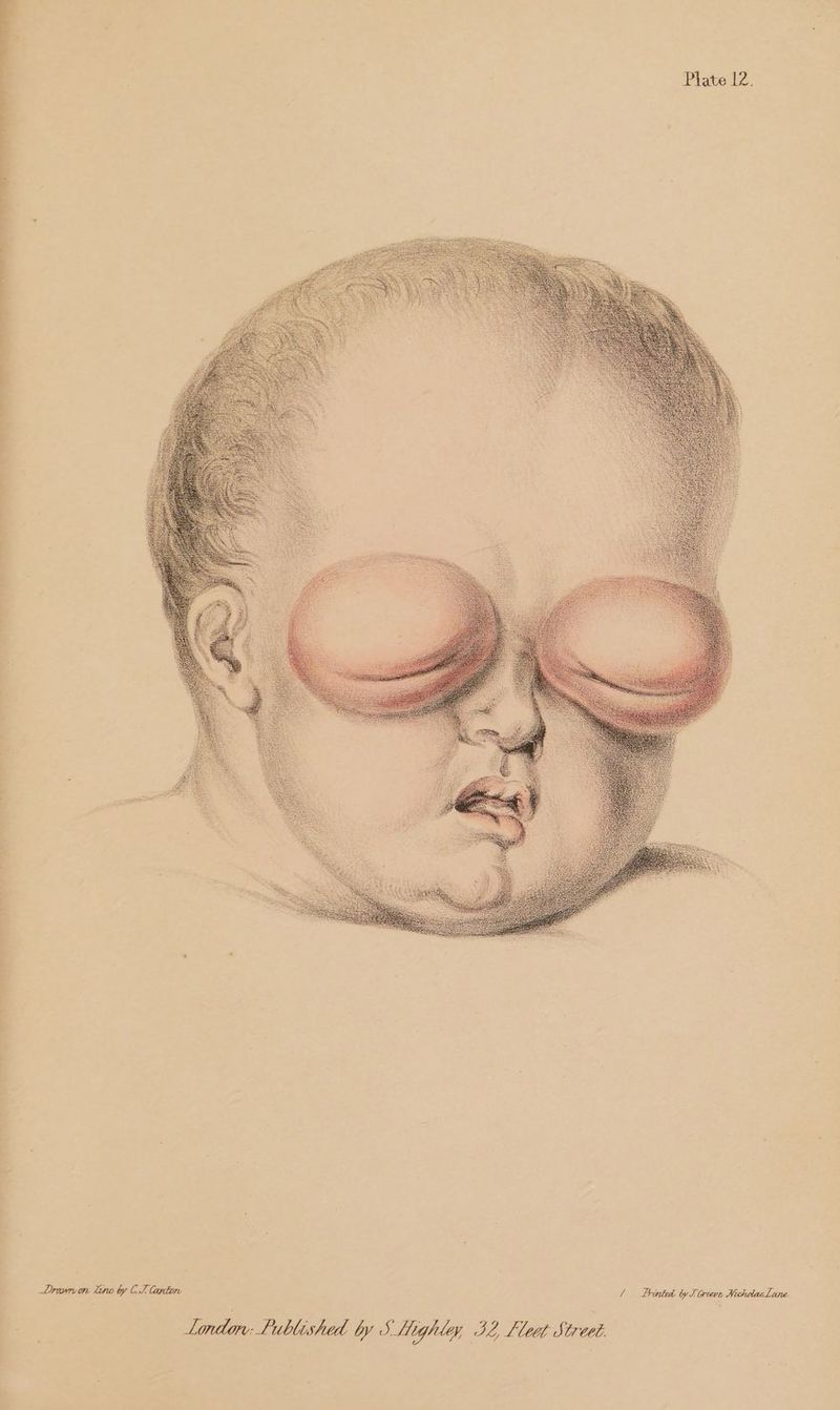 .) = ‘ | 7 Drawn tine by CI anton | Pinte by Fovtere WecholasLane 3 London Published by SHighle,, 32 Fleet Street ;