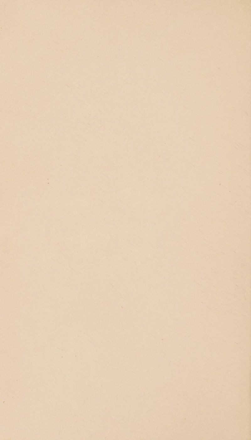 ain VA i ¥ Fas S ce al ane Ps #4 a ey ’ $244 a a ft