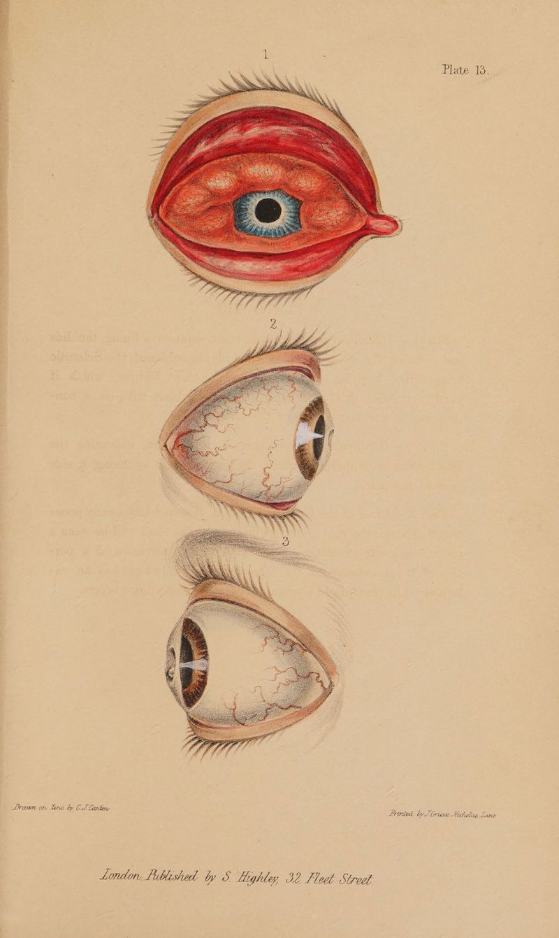 oe 3% Se a a6 Plate-1o. ” Drown or, Matve by CT Corday Printed by J brieve Nitholas Lunw