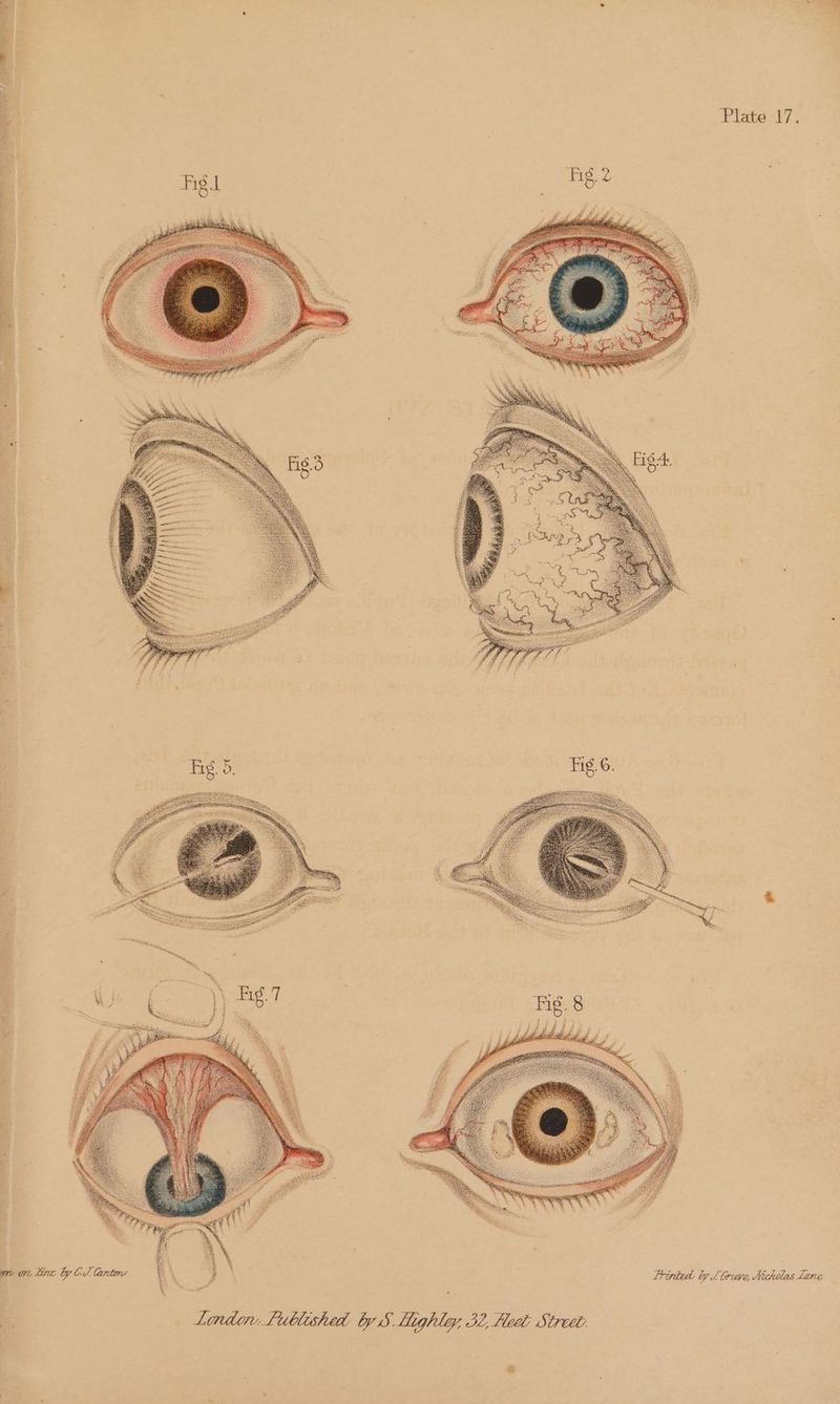 Printed by J Gripe, Nicholas Lane ®