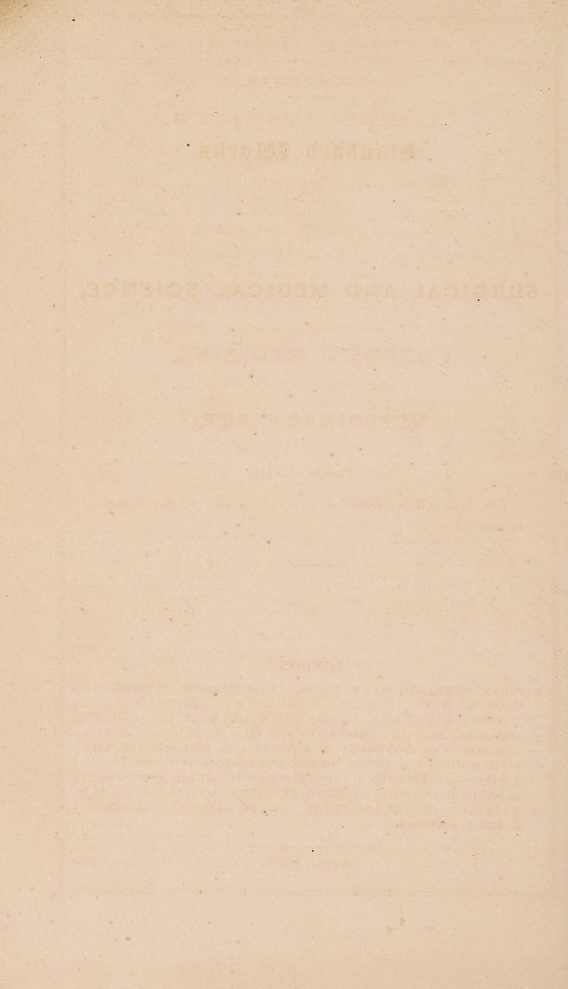 fie Sy art em” - va Th a hea . fi eee aa Bae z it - “rene en aS eo -*