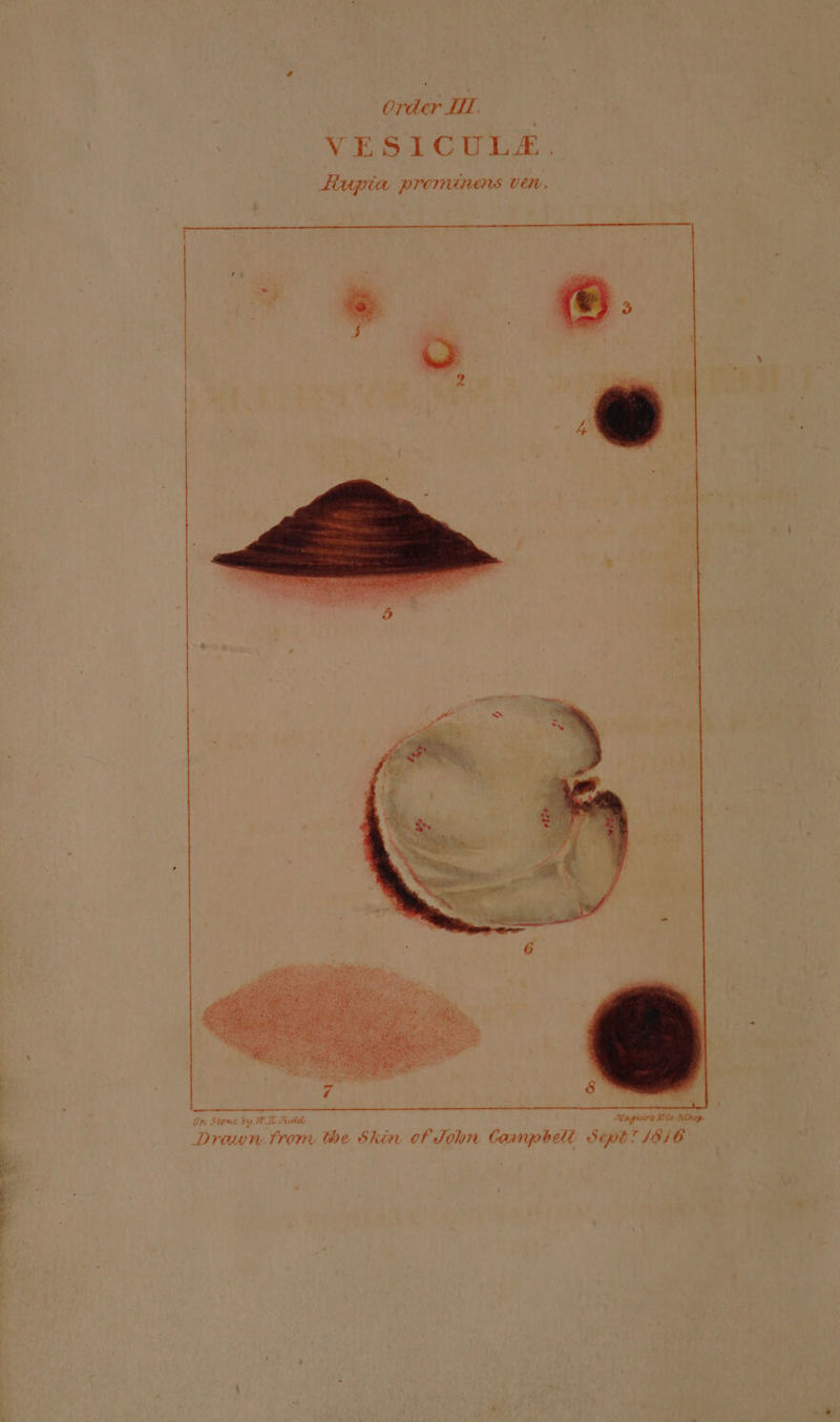 Bhat «ree fo 5 ie “or a In Ftone by WE Puke Draw trony the Skin ef John Caanpbelt § Maguire lo bihog. ope? 1846