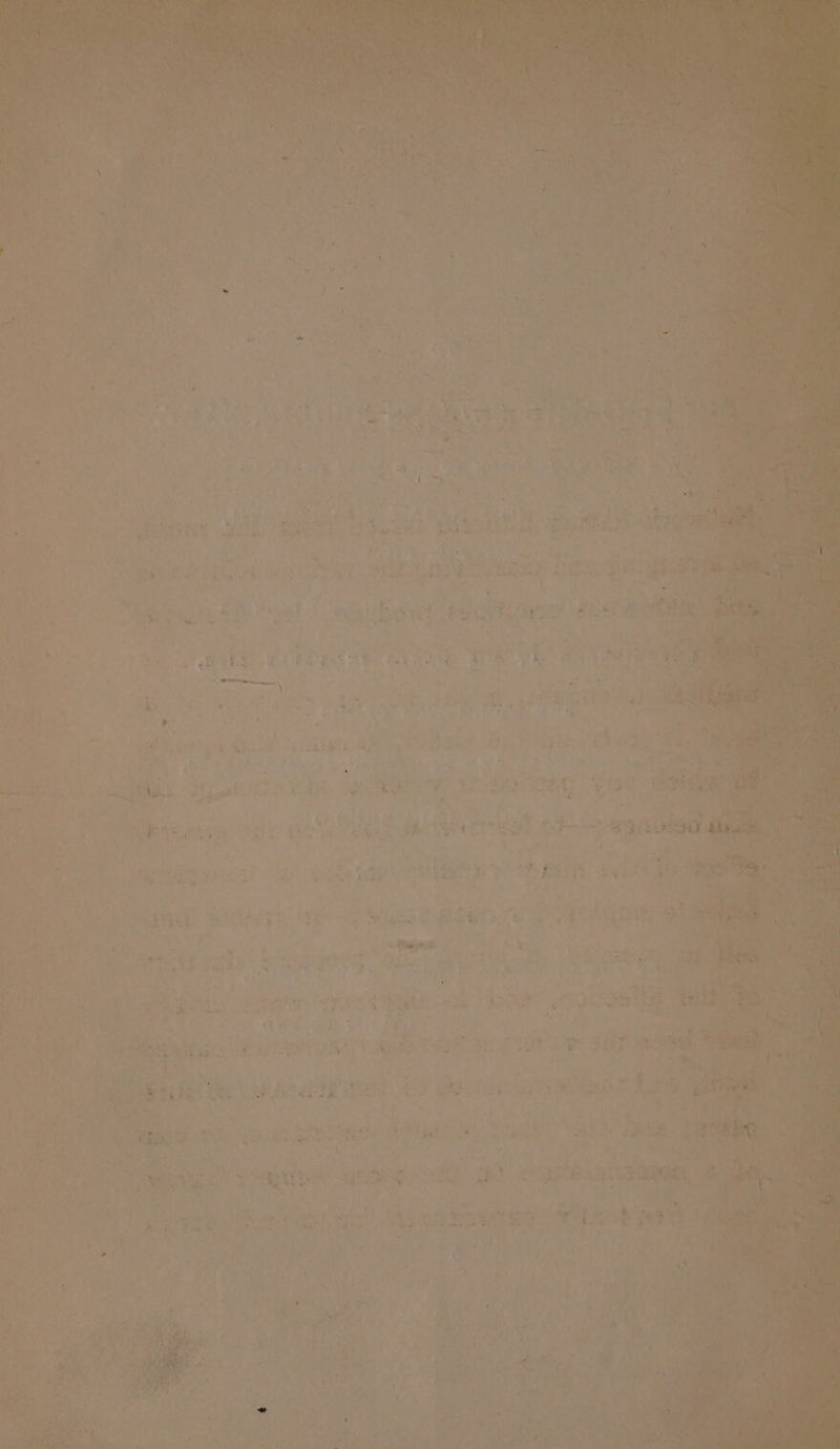 = = . wr > * on EF x aay ih) Wee ‘ . Ream ee RE ih? a ee ox eat ; +