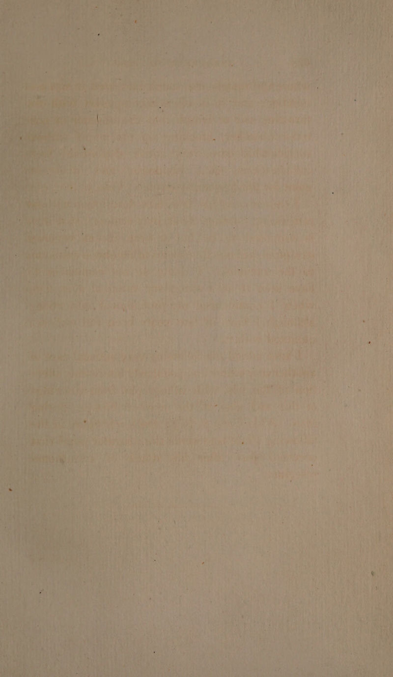 a pare cae eo SSE an an