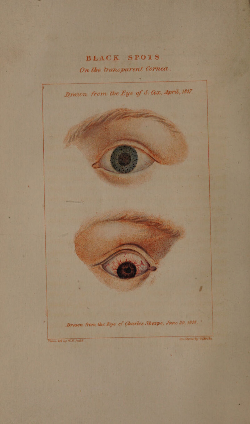 BLACK SPOTS. | <8 On the transparent Cornea. ee si | Breen from the Eye of Charles Sharpe, Tune 20, 1808. *