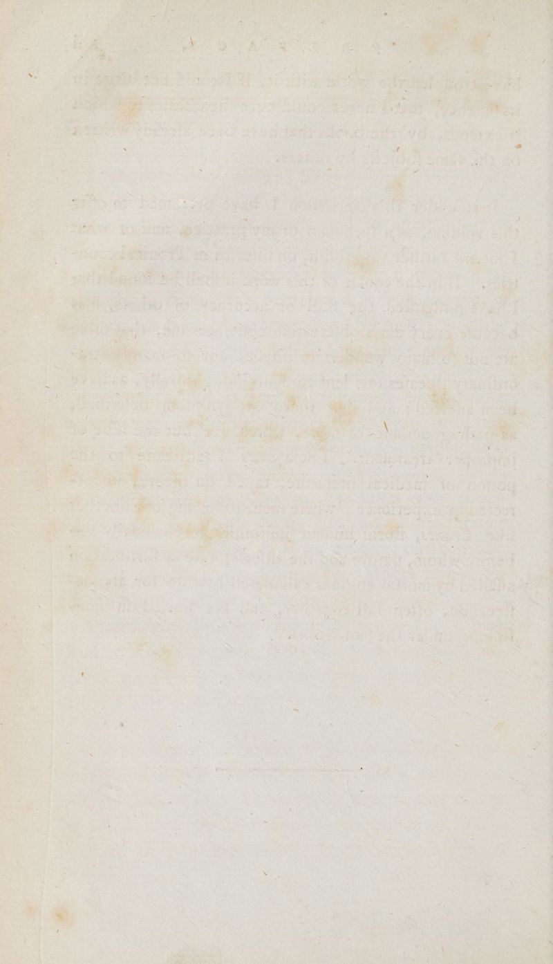 ete are ; ee vere “ee, A ae orig he gel ae ? a rs (Se Oaks uh; St ca oe: 238 1 ia , nd ?