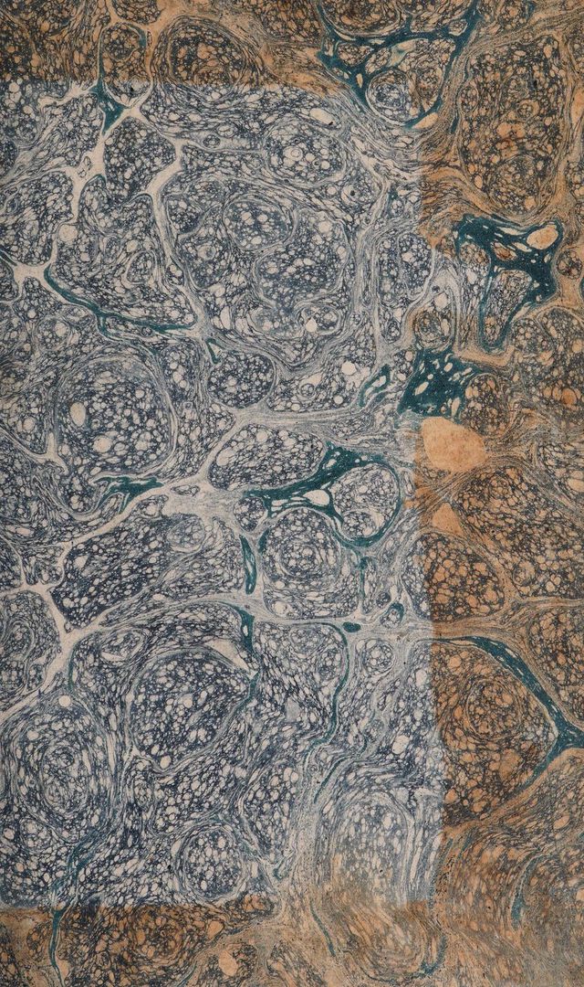 No text description is available for this image