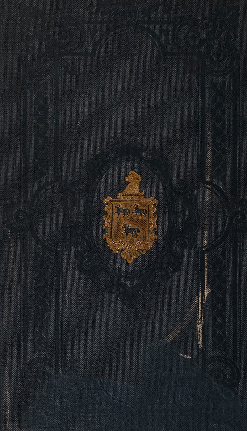 No text description is available for this image