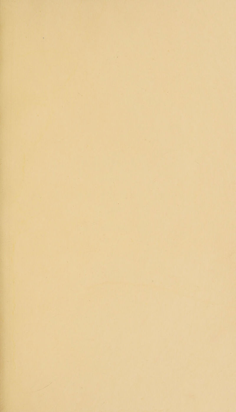 1 ty A j ! a” gue ‘ ba 1 ; a me Se m3 “er b ; ee ‘ Pann. *