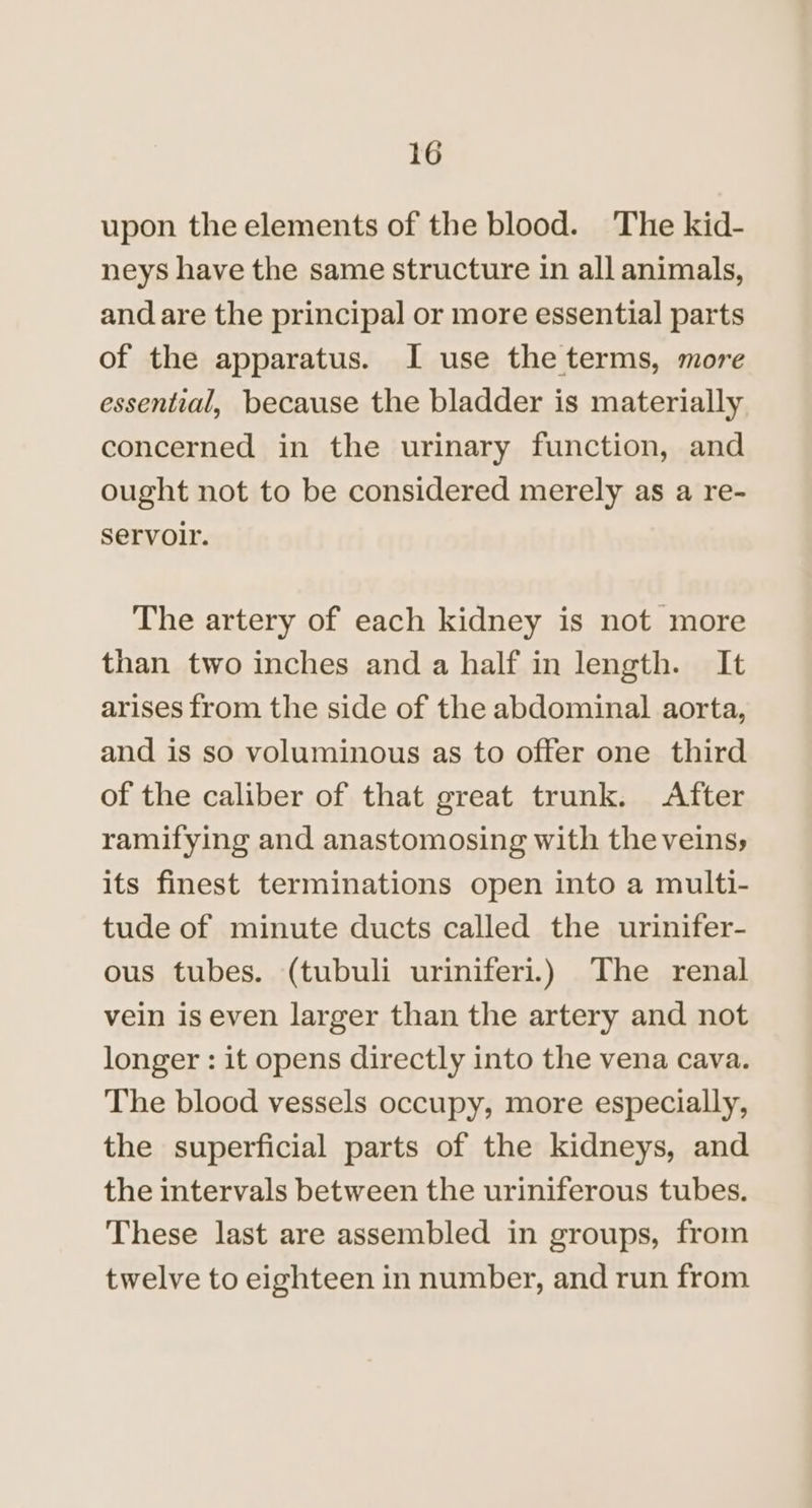 upon the elements of the blood. The kid- neys have the same structure in all animals, and are the principal or more essential parts of the apparatus. I use the terms, more essential, because the bladder is materially concerned in the urinary function, and ought not to be considered merely as a re- servoir. The artery of each kidney is not more than two inches and a half in length. It arises from the side of the abdominal aorta, and is so voluminous as to offer one third of the caliber of that great trunk. After ramifying and anastomosing with the veins; its finest terminations open into a multi- tude of minute ducts called the urinifer- ous tubes. (tubuli uriniferi.) The renal vein is even larger than the artery and not longer : it opens directly into the vena cava. The blood vessels occupy, more especially, the superficial parts of the kidneys, and the intervals between the uriniferous tubes. These last are assembled in groups, from twelve to eighteen in number, and run from