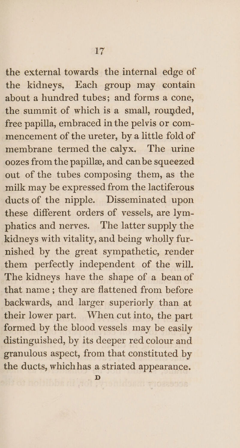 the external towards the internal edge of the kidneys, Each group may contain about a hundred tubes; and forms a cone, the summit of which is a small, rougded, free papilla, embraced in the pelvis or com- mencement of the ureter, by a little fold of membrane termed the calyx. The urine oozes from the papillze, and can be squeezed out of the tubes composing them, as the milk may be expressed from the lactiferous ducts of the nipple. Disseminated upon these different orders of vessels, are lym- phatics and nerves. The latter supply the kidneys with vitality, and being wholly fur- nished by the great sympathetic, render them perfectly independent of the will. The kidneys have the shape of a bean of that name ; they are flattened from before backwards, and larger superiorly than at their lower part. When cut into, the part formed by the blood vessels may be easily distinguished, by its deeper red colour and granulous aspect, from that constituted by the ducts, which has a striated appearance. —D