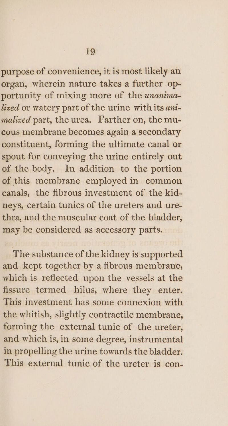 purpose of convenience, it is most likely an organ, wherein nature takes a further op- portunity of mixing more of the unanima- lized or watery part of the urine with its ant- malzed part, the urea. Farther on, the mu- cous membrane becomes again a secondary constituent, forming the ultimate canal or spout for conveying the urine entirely out of the body. In addition to the portion of this membrane employed in common canals, the fibrous investment of the kid- neys, certain tunics of the ureters and ure- thra, and the muscular coat of the bladder, may be considered as accessory parts. The substance of the kidney is supported and kept together by a fibrous membrane, which is reflected upon the vessels at the fissure termed hilus, where they enter. This investment has some connexion with the whitish, slightly contractile membrane, forming the external tunic of the ureter, and which is, in some degree, instrumental in propelling the urine towards the bladder. This external tunic of the ureter is con-