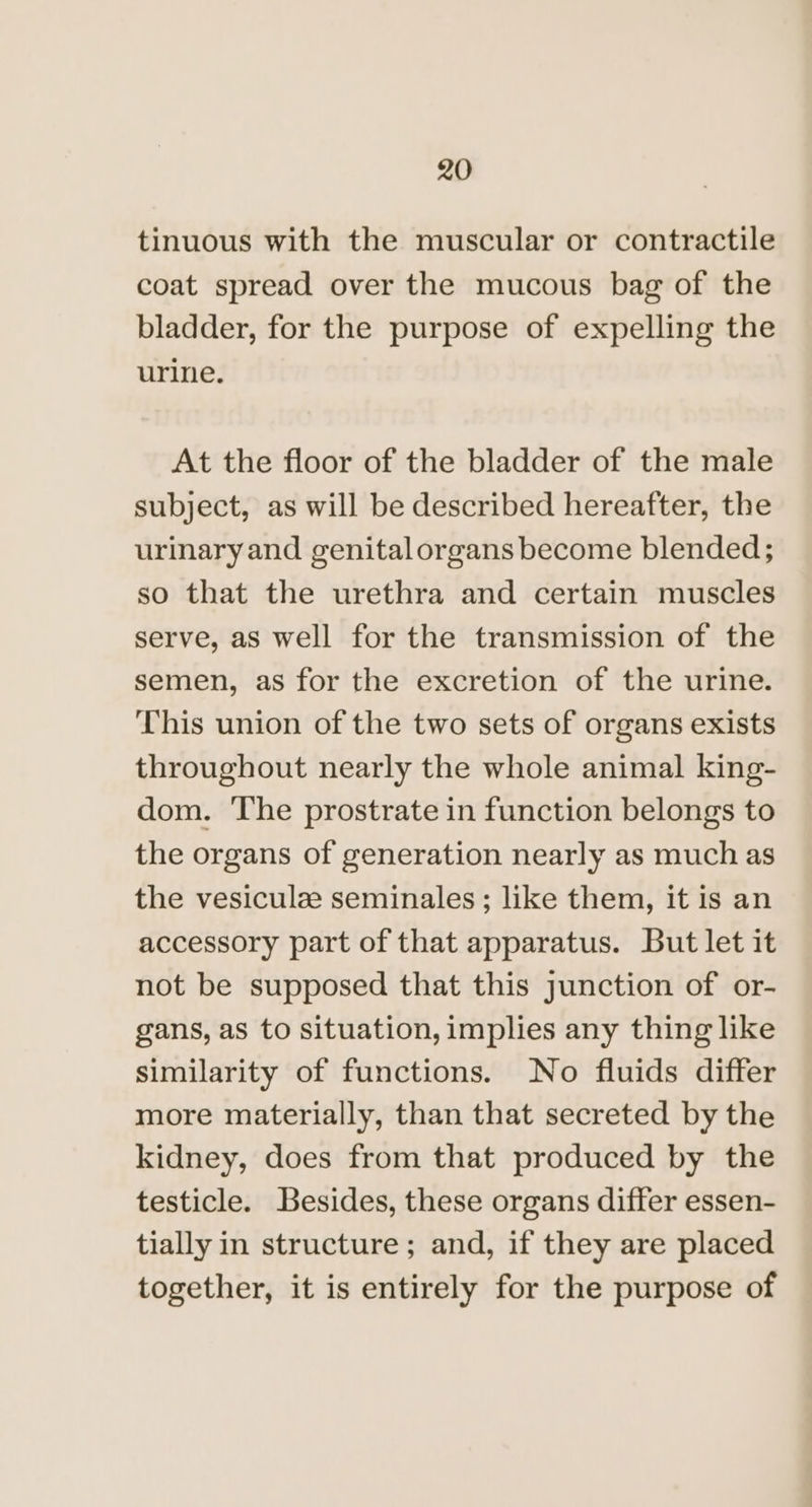 tinuous with the muscular or contractile coat spread over the mucous bag of the bladder, for the purpose of expelling the urine. At the floor of the bladder of the male subject, as will be described hereafter, the urinary and genitalorgans become blended; so that the urethra and certain muscles serve, as well for the transmission of the semen, as for the excretion of the urine. This union of the two sets of organs exists throughout nearly the whole animal king- dom. The prostrate in function belongs to the organs of generation nearly as much as the vesiculz seminales; like them, it is an accessory part of that apparatus. But let it not be supposed that this junction of or- gans, as to situation, implies any thing like similarity of functions. No fluids differ more materially, than that secreted by the kidney, does from that produced by the testicle. Besides, these organs differ essen- tially in structure; and, if they are placed together, it is entirely for the purpose of