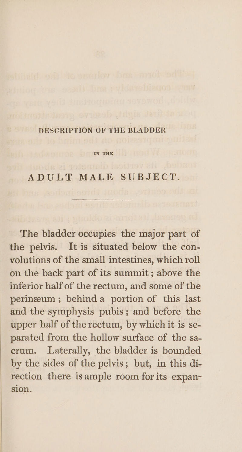 DESCRIPTION OF THE BLADDER IN THE ADULT MALE SUBJECT. The bladder occupies the major part of the pelvis. It is situated below the con- volutions of the small intestines, which roll on the back part of its summit; above the inferior half of the rectum, and some of the perineum ; behinda portion of this last and the symphysis pubis; and before the upper half of the rectum, by which it is se- parated from the hollow surface of the sa- crum. Laterally, the bladder is bounded by the sides of the pelvis; but, in this di- rection there isample room for its expan- sion.