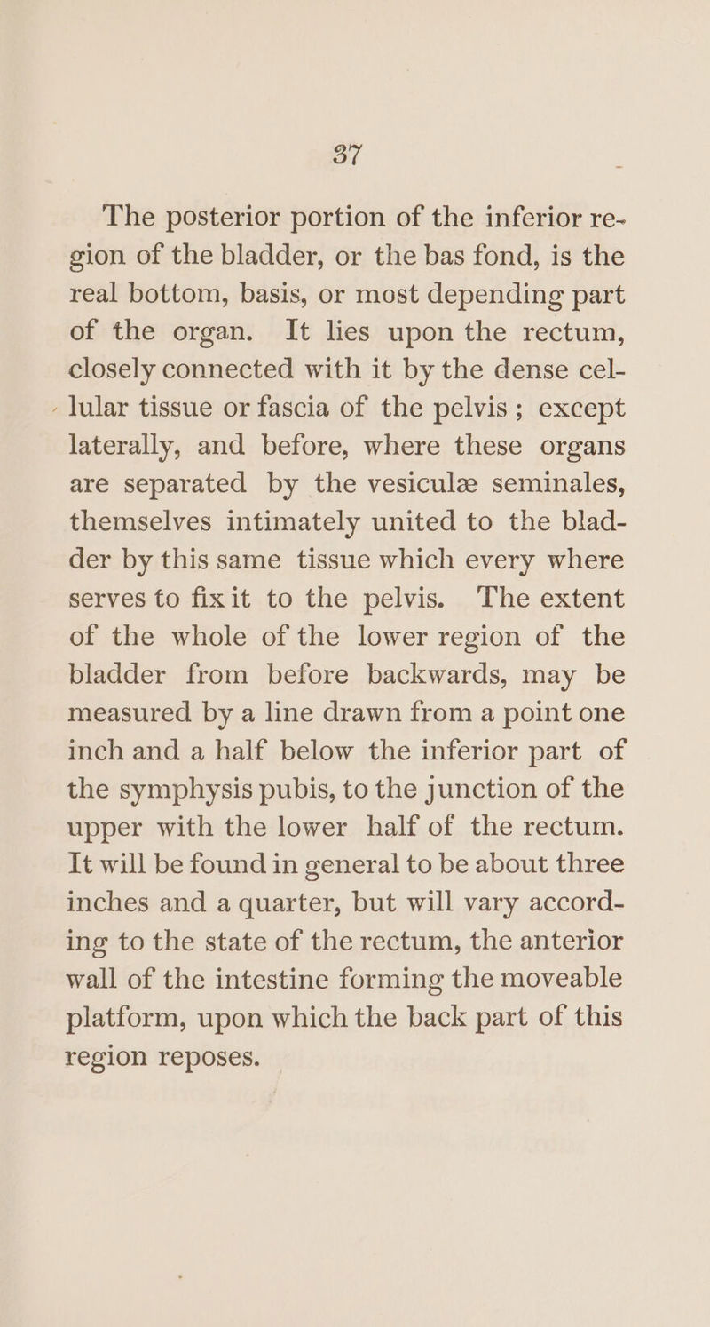 The posterior portion of the inferior re- gion of the bladder, or the bas fond, is the real bottom, basis, or most depending part of the organ. It lies upon the rectum, closely connected with it by the dense cel- - lular tissue or fascia of the pelvis; except laterally, and before, where these organs are separated by the vesiculz seminales, themselves intimately united to the blad- der by this same tissue which every where serves to fixit to the pelvis. The extent of the whole of the lower region of the bladder from before backwards, may be measured by a line drawn from a point one inch and a half below the inferior part of the symphysis pubis, to the junction of the upper with the lower half of the rectum. It will be found in general to be about three inches and a quarter, but will vary accord- ing to the state of the rectum, the anterior wall of the intestine forming the moveable platform, upon which the back part of this region reposes.