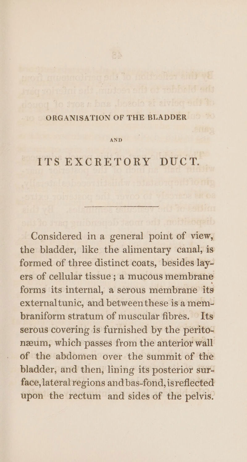 AND ITS EXCRETORY DUCT. Considered in a general point of view, the bladder, like the alimentary canal, is formed of three distinct coats, besides lay- ers of cellular tissue ; a mucous membrane forms its internal, a serous membrane its externaltunic, and betweenthese is a mem- braniform stratum of muscular fibres. Its serous covering is furnished by the perito- nzeum, which passes from the anterior wall of the abdomen over the summit of the bladder, and then, lining its posterior sur- face, lateral regions and bas-fond, isreflected upon the rectum and sides of the pelvis.