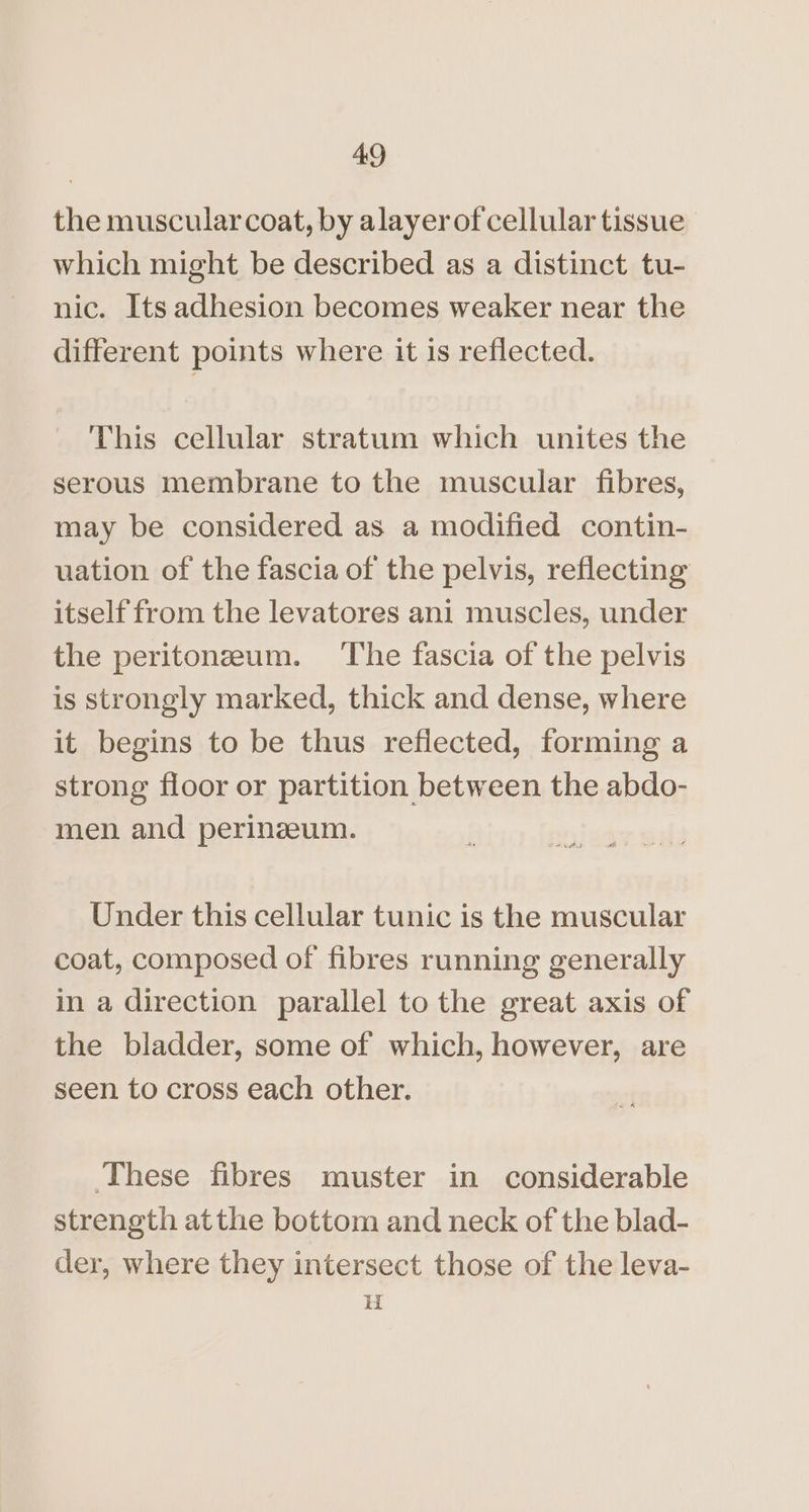 the muscular coat, by alayer of cellular tissue which might be described as a distinct tu- nic. Its adhesion becomes weaker near the different points where it is reflected. This cellular stratum which unites the serous membrane to the muscular fibres, may be considered as a modified contin- uation of the fascia of the pelvis, reflecting itself from the levatores ani muscles, under the peritoneum. The fascia of the pelvis is Strongly marked, thick and dense, where it begins to be thus reflected, forming a strong floor or partition between the abdo- men and perineum. Under this cellular tunic is the muscular coat, composed of fibres running generally in a direction parallel to the great axis of the bladder, some of which, however, are seen to cross each other. These fibres muster in considerable strength atthe bottom and neck of the blad- der, where they intersect those of the leva- iH
