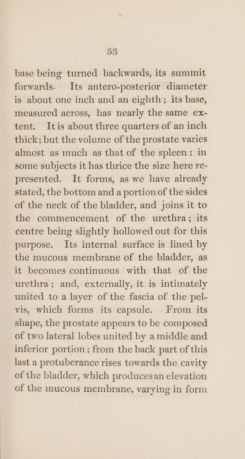 base being turned backwards, its summit forwards. Its antero-posterior diameter is about one inch and an eighth; its base, measured across, has nearly the same ex- tent. Itis about three quarters of an inch thick; but the volume of the prostate varies almost as much as that of the spleen: in some subjects it has thrice the size here re- presented. It forms, as we have already stated, the bottom and a portion of the sides of the neck of the bladder, and joins it to the commencement of the urethra; its centre being slightly hollowed out for this purpose. Its internal surface is lined by the mucous membrane of the bladder, as it becomes continuous with that of the urethra; and, externally, it is intimately united to a layer of the fascia of the pel- vis, which forms its capsule. From its shape, the prostate appears to be composed of two lateral lobes united by a middle and inferior portion ; from the back part of this last a protuberance rises towards the cavity of the bladder, which producesan elevation of the mucous membrane, varying in form