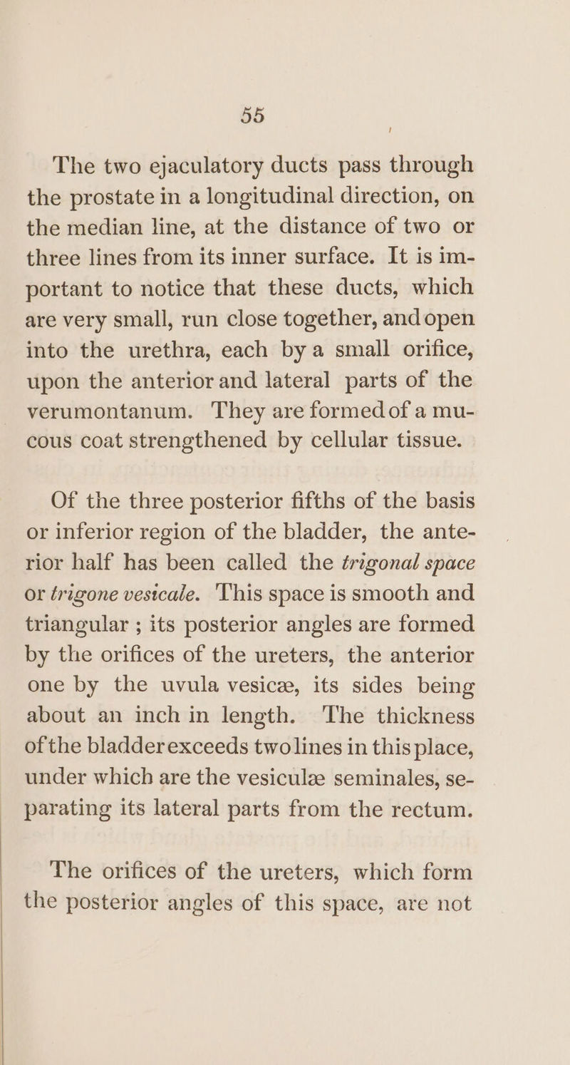 ? The two ejaculatory ducts pass through the prostate in a longitudinal direction, on the median line, at the distance of two or three lines from its inner surface. It is im- portant to notice that these ducts, which are very small, run close together, and open into the urethra, each bya small orifice, upon the anterior and lateral parts of the verumontanum. They are formed of a mu- cous coat strengthened by cellular tissue. Of the three posterior fifths of the basis or inferior region of the bladder, the ante- rior half has been called the trigonal space or trigone vestcale. ‘This space is smooth and triangular ; its posterior angles are formed by the orifices of the ureters, the anterior one by the uvula vesice, its sides being about an inch in length. The thickness of the bladder exceeds two lines in this place, under which are the vesiculze seminales, se- parating its lateral parts from the rectum. The orifices of the ureters, which form the posterior angles of this space, are not