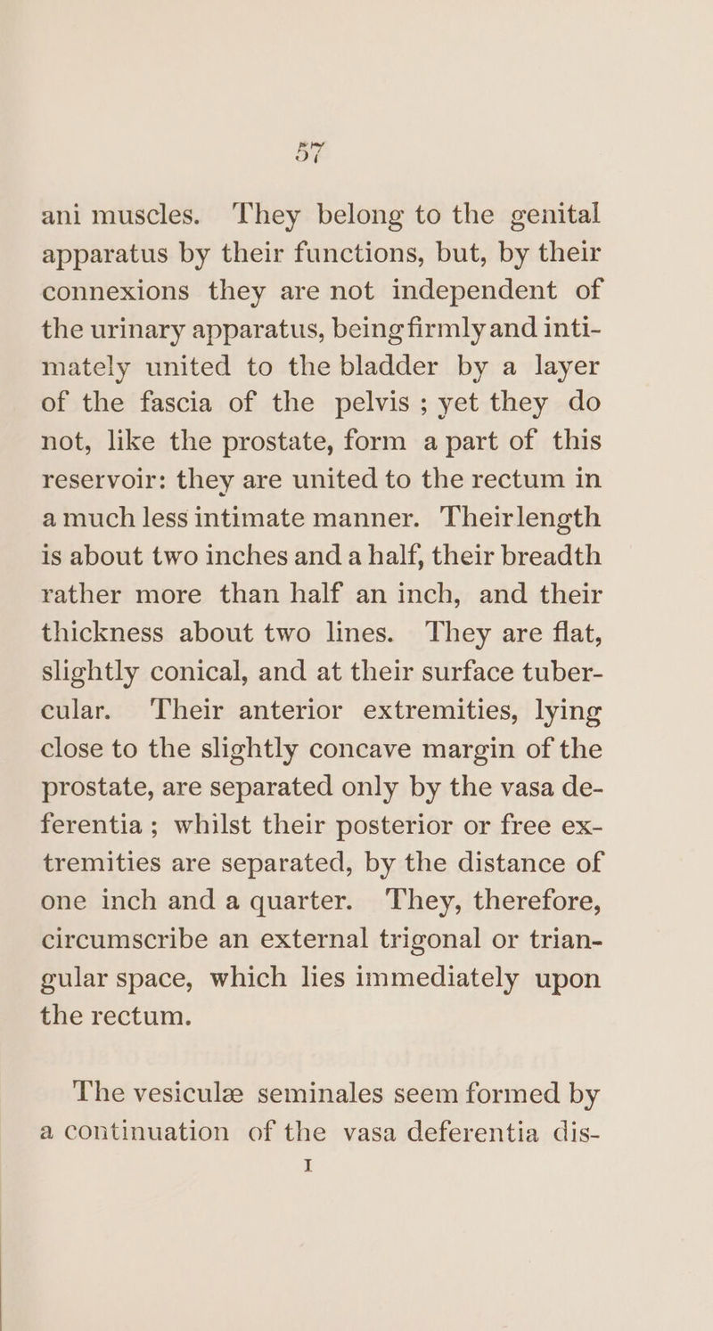 ani muscles. ‘hey belong to the genital apparatus by their functions, but, by their connexions they are not independent of the urinary apparatus, being firmly and inti- mately united to the bladder by a layer of the fascia of the pelvis ; yet they do not, like the prostate, form a part of this reservoir: they are united to the rectum in amuch less intimate manner. Theirlength is about two inches and a half, their breadth rather more than half an inch, and their thickness about two lines. They are flat, slightly conical, and at their surface tuber- cular. ‘Their anterior extremities, lying close to the slightly concave margin of the prostate, are separated only by the vasa de- ferentia ; whilst their posterior or free ex- tremities are separated, by the distance of one inch and a quarter. ‘They, therefore, circumscribe an external trigonal or trian- gular space, which lies immediately upon the rectum. The vesiculze seminales seem formed by a continuation of the vasa deferentia dis- I