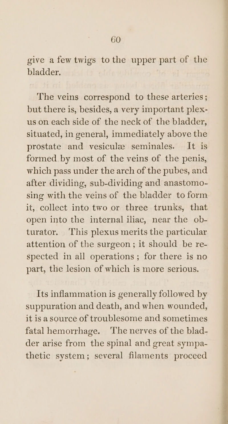 give a few twigs tothe upper part of the bladder. The veins correspond to these arteries ; but there is, besides, a very important plex- us on each side of the neck of the bladder, situated, in general, immediately above the prostate and vesiculz seminales. It is formed by most of the veins of the penis, which pass under the arch of the pubes, and after dividing, sub-dividing and anastomo- sing with the veins of the bladder to form it, collect into two or three trunks, that open into the internal iliac, near the ob- turator. ‘This plexus merits the particular attention of the surgeon; it should be re- spected in all operations; for there is no part, the lesion of which is more serious. Its inflammation is generally followed by suppuration and death, and when wounded, it is a source of troublesome and sometimes fatal hemorrhage. ‘The nerves of the blad- der arise from the spinal and great sympa- thetic system; several filaments proceed _—— -_ a