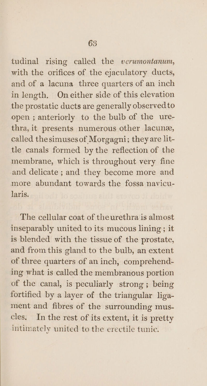 tudinal rising called the verumontanum, with the orifices of the ejaculatory ducts, and of a lacuna three quarters of an inch in length. Oneither side of this elevation the prostatic ducts are generally observed to open ; anteriorly to the bulb of the ure- thra, it presents numerous other lacune, called thesimuses of Morgagni; they are lit- tle canals formed by the reflection of the membrane, which is throughout very fine nd delicate ; and they become more and more abundant towards the fossa navicu- laris. The cellular coat of theurethra is almost inseparably united to its mucous lining ; it is blended with the tissue of the prostate, and from this gland to the bulb, an extent of three quarters of an inch, comprehend- ing what is called the membranous portion of the canal, is peculiarly strong; being fortified by a layer of the triangular liga- ment and fibres of the surrounding mus- cles, In the rest of its extent, it is pretty intimately united to the erectile tunic.