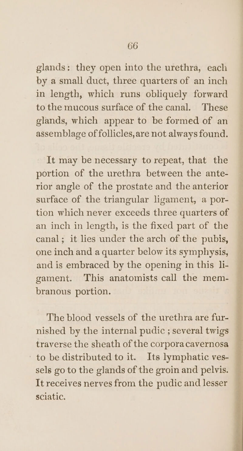 glands: they open into the urethra, each by a small duct, three quarters of an inch in length, which runs obliquely forward to the mucous surface of the canal. These glands, which appear to be formed of an assemblage of follicles, are not always found. It may be necessary to repeat, that the portion of the urethra between the ante- rior angle of the prostate and the anterior surface of the triangular ligament, a por- tion which never exceeds three quarters of an inch in length, is the fixed part of the canal; it lies under the arch of the pubis, one inch and a quarter below its symphysis, and is embraced by the opening in this li- gament. This anatomists call the mem- branous portion. The blood vessels of the urethra are fur- nished by the internal pudic ; several twigs traverse the sheath of the corpora cavernosa ' to be distributed to it. Its lymphatic ves- sels go to the glands of the groin and pelvis. It receives nerves from the pudic and lesser sciatic. - t . eS ae ae eS ee a oe) ee