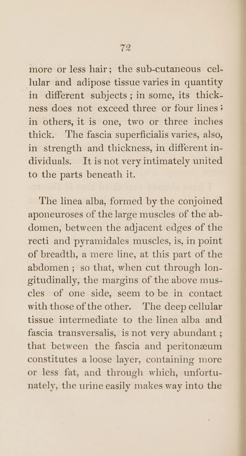 more or less hair; the sub-cutaneous cel- lular and adipose tissue varies in quantity in different subjects; in some, its thick- ness does not exceed three or four lines; in others, it is one, two or three inches thick. The fascia superficialis varies, also, in strength and thickness, in different in- dividuals. It is not very intimately united to the parts beneath it. ‘The linea alba, formed by the conjoined aponeuroses of the large muscles of the ab- domen, between the adjacent edges of the recti and pyramidales muscles, is, in point of breadth, a mere line, at this part of the abdomen ; so that, when cut through lon- eitudinally, the margins of the above mus- cles of one side, seem to be in contact with those of the other. ‘The deep cellular tissue intermediate to the linea alba and fascia transversalis, is not very abundant ; that between the fascia and peritoneum constitutes a loose layer, containing more or less fat, and through which, unfortu- nately, the urine easily makes way into the