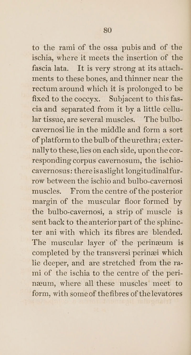 to the rami of the ossa pubis and of the ischia, where it meets the insertion of the fascia lata. It is very strong at its attach- ments to these bones, and thinner near the rectum around which it is prolonged to be fixed to the coccyx. Subjacent to this fas- cia and separated from it by a little cellu- Jar tissue, are several muscles. The bulbo- cavernosi lie in the middle and form a sort of platform to the bulb of theurethra; exter- nally to these, lies on each side, upon the cor- responding corpus cavernosum, the ischio- cavernosus: there isaslight longitudinal fur- row between the ischio and bulbo-cavernosi muscles. From the centre of the posterior margin of the muscular floor formed by the bulbo-cavernosi, a strip of muscle 1s sent back to the anterior part of the sphinc- ter ani with which its fibres are blended. The muscular layer of the perinzeum is completed by the transversi perinei which lie deeper, and are stretched from the ra- mi of the ischia to the centre of the peri- nzum, where all these muscles meet to form, with someof thefibres of the levatores