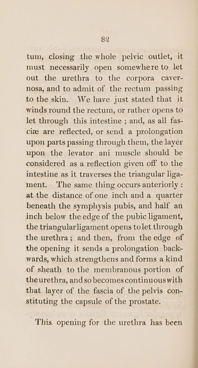 tum, closing the whole pelvic outlet, it must necessarily open somewhere to let out the urethra to the corpora caver- nosa, and to admit of the rectum passing to the skin. We have just stated that it winds round the rectum, or rather opens to let through this intestine ; and, as all fas- ciz are reflected, or send a prolongation upon parts passing through them, the layer upon the levator ani muscle should be considered as a reflection given off to the intestine as it traverses the triangular liga- ment. The same thing occurs anteriorly : at the distance of one inch and a quarter beneath the symphysis pubis, and half an inch below the edge of the pubic ligament, the triangularligament opens tolet through the urethra; and then, from the edge of the opening it sends a prolongation back- wards, which strengthens and forms a kind of sheath to the membranous portion of theurethra, and so becomes continuous with that layer of the fascia of the pelvis con- stituting the capsule of the prostate. This. opening for the urethra has been
