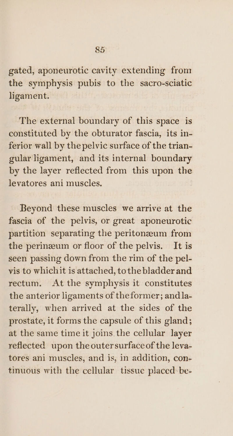 gated, aponeurotic cavity extending from the symphysis pubis to the sacro-sciatic ligament. The external boundary of this space is constituted by the obturator fascia, its in- ferior wall by the pelvic surface of the trian- gular ligament, and its internal boundary by the layer reflected from this upon the levatores ani muscles. Beyond these muscles we arrive at the fascia of the pelvis, or great aponeurotic partition separating the peritonzum from the perinzeum or floor of the pelvis. It is seen passing down from the rim of the pel- vis to whichit is attached, tothe bladder and rectum. At the symphysis it constitutes the anterior ligaments of theformer; and la- terally, when arrived at the sides of the prostate, it forms the capsule of this gland; at the same time it joins the cellular layer reflected upon the outer surface of the leva- tores ani muscles, and is, in addition, con- tinuous with the cellular tissue placed: be-