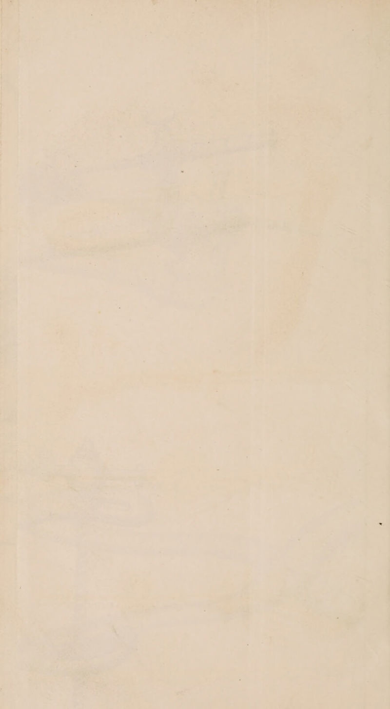 _— LA se rf al ’ , << ‘ wo ie inate, >