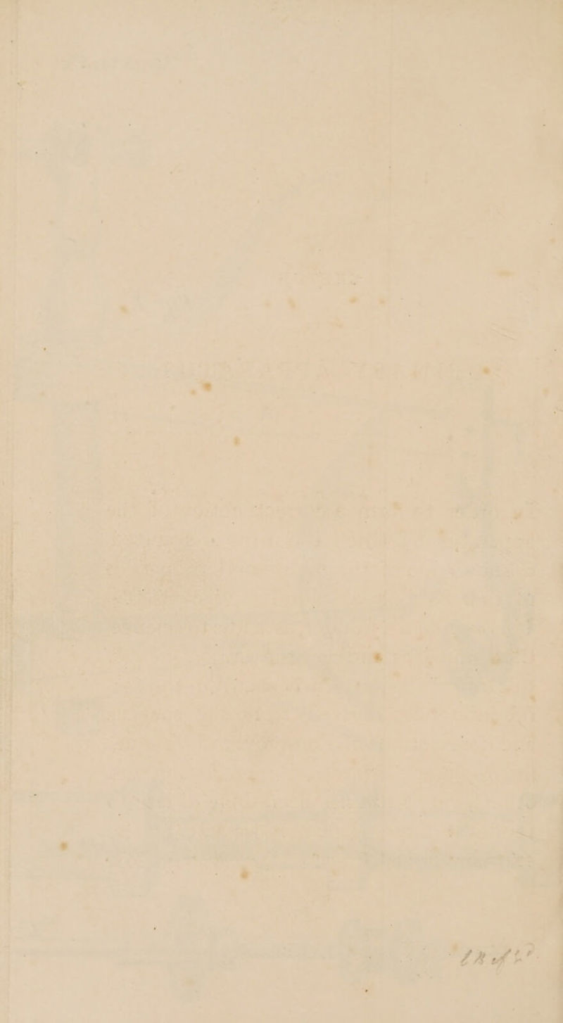 chiens es ws — > oe ee ® . 4 Se + See ae © ei * > i =f - 14 5