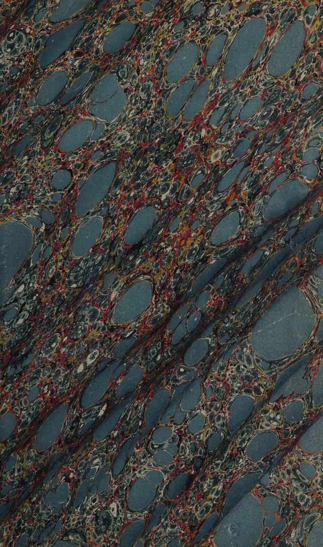 No text description is available for this image