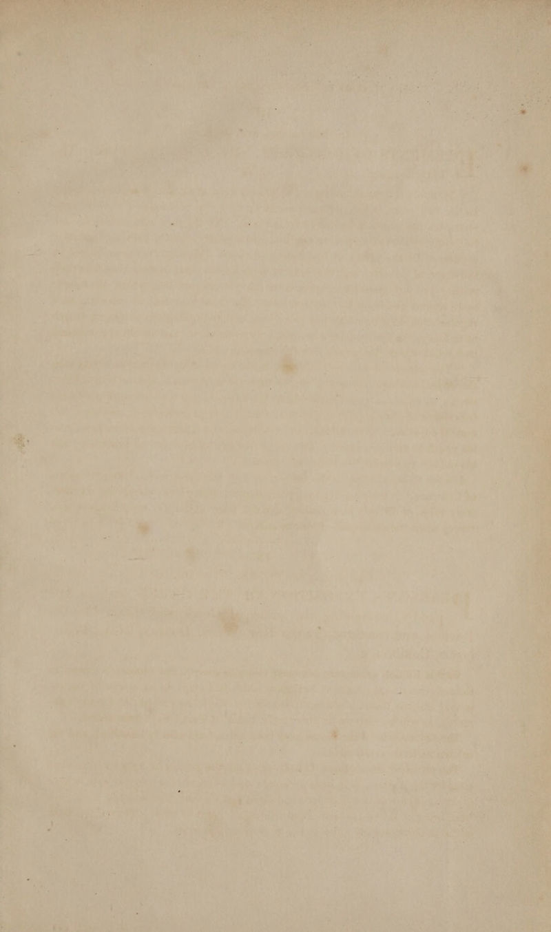 my Souk man outed Fel eer eae th) 4, , ae Leis ¥ e; th een ee - Neste aes ti hs ik eee